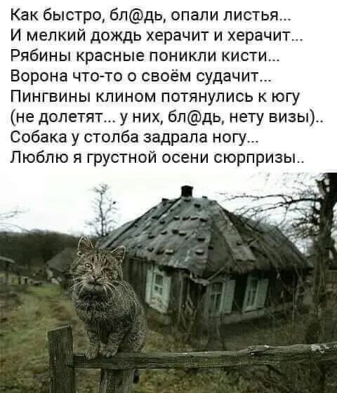 осень нока.jpg